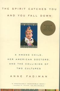 The Spirit Catches You and You Fall Down free audiobook